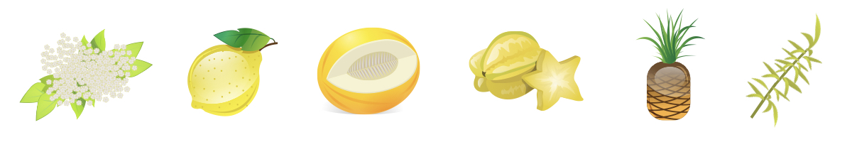 Vůně a chuť vína Prosecco Frizzante z vinařství Salatin